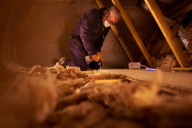 Best Basement Insulation  in Grandwood Park, IL